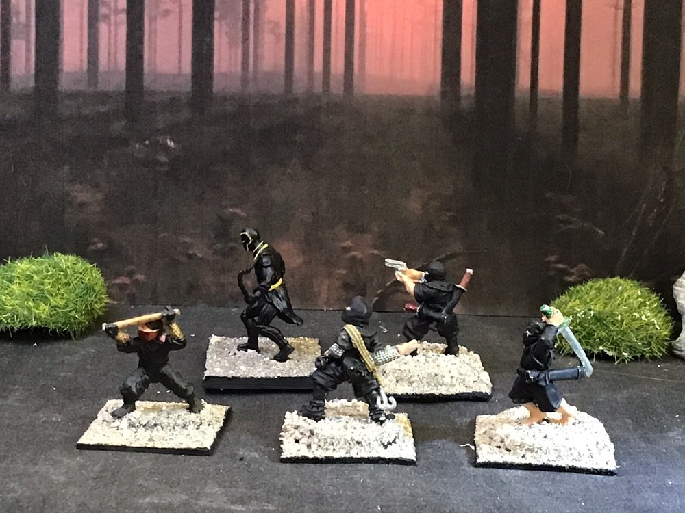 Ninja (5) 25mm