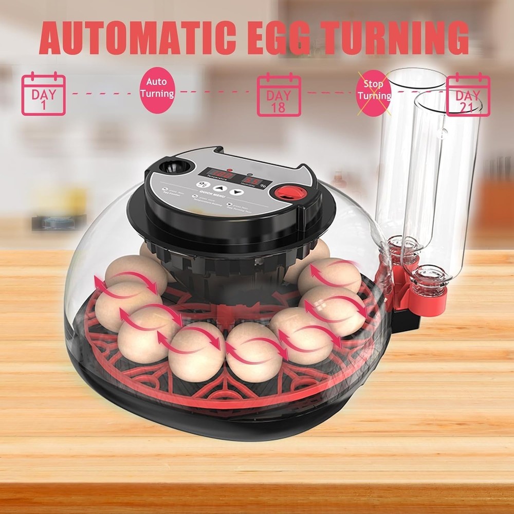 Incubators for Hatching Eggs, 12 Egg Incubator with Automatic Egg Turning and...