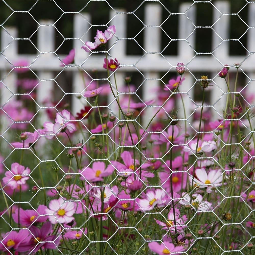 Versatile 20GA Galvanized Hexagonal Chicken Wire - 36'' x 25' for Enclosures