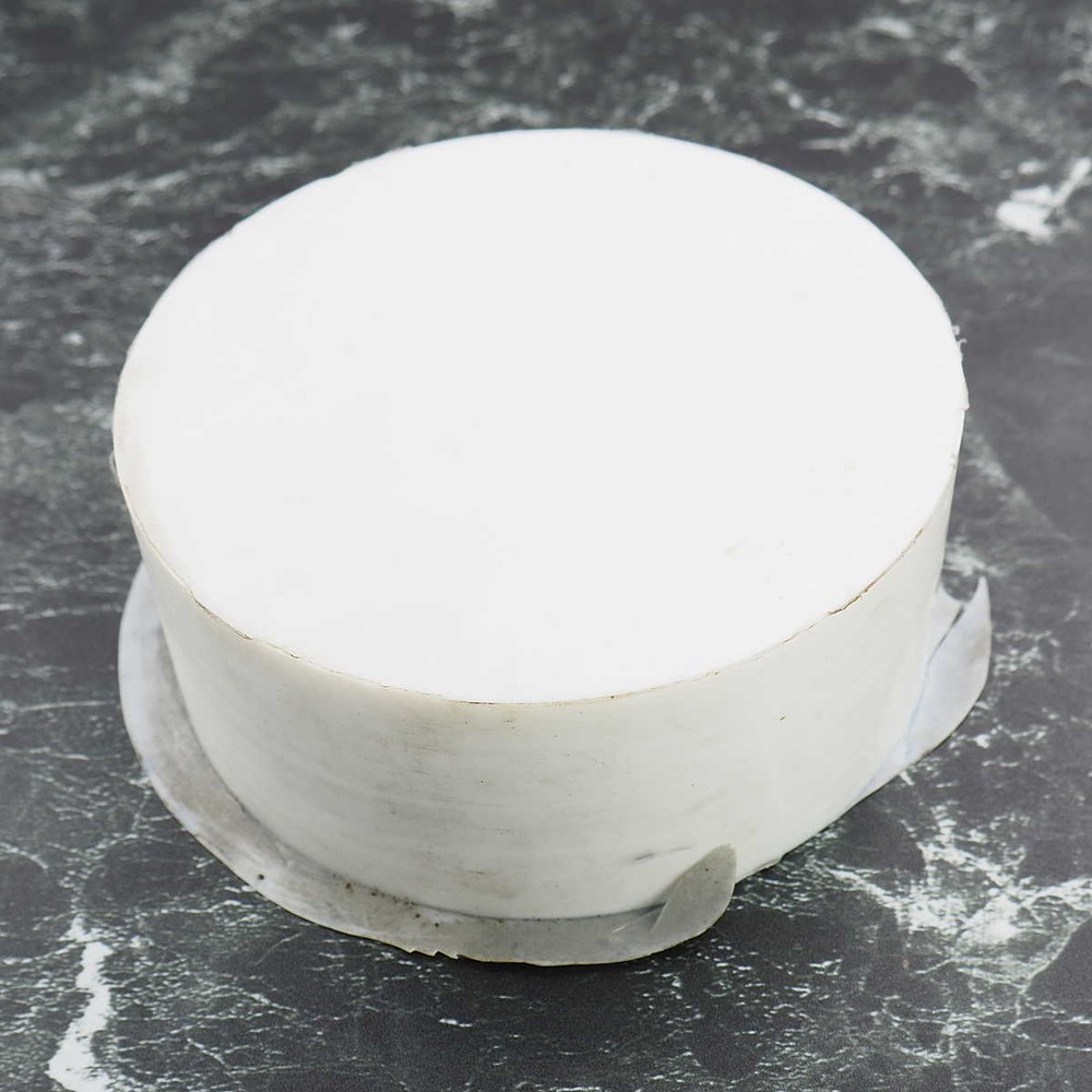 Ertalyte PET-P PLASTIC Solid Round Disk 5" OD x 2" for Semiconductor/Military