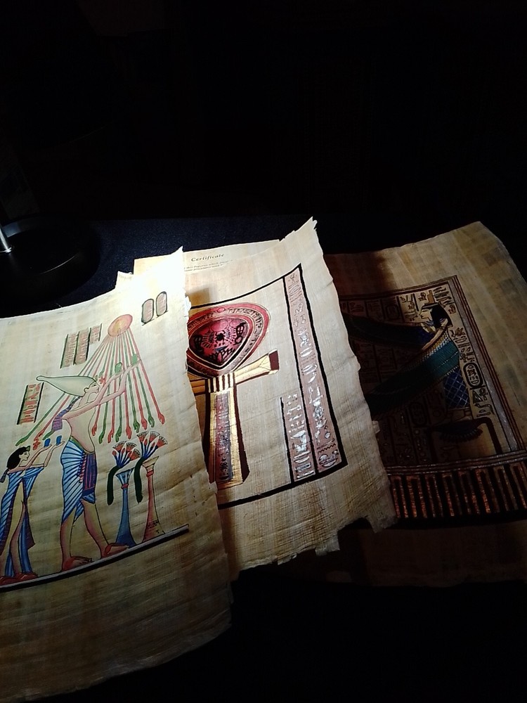 Set of 3 egyptian Papyrus