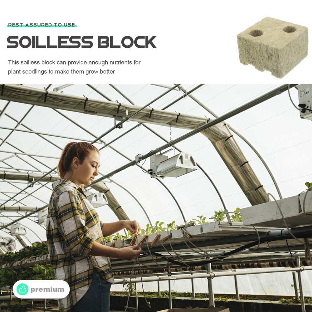 5 Pcs Vegetable Propagation Cubes Soilless Cultivation Blocks
