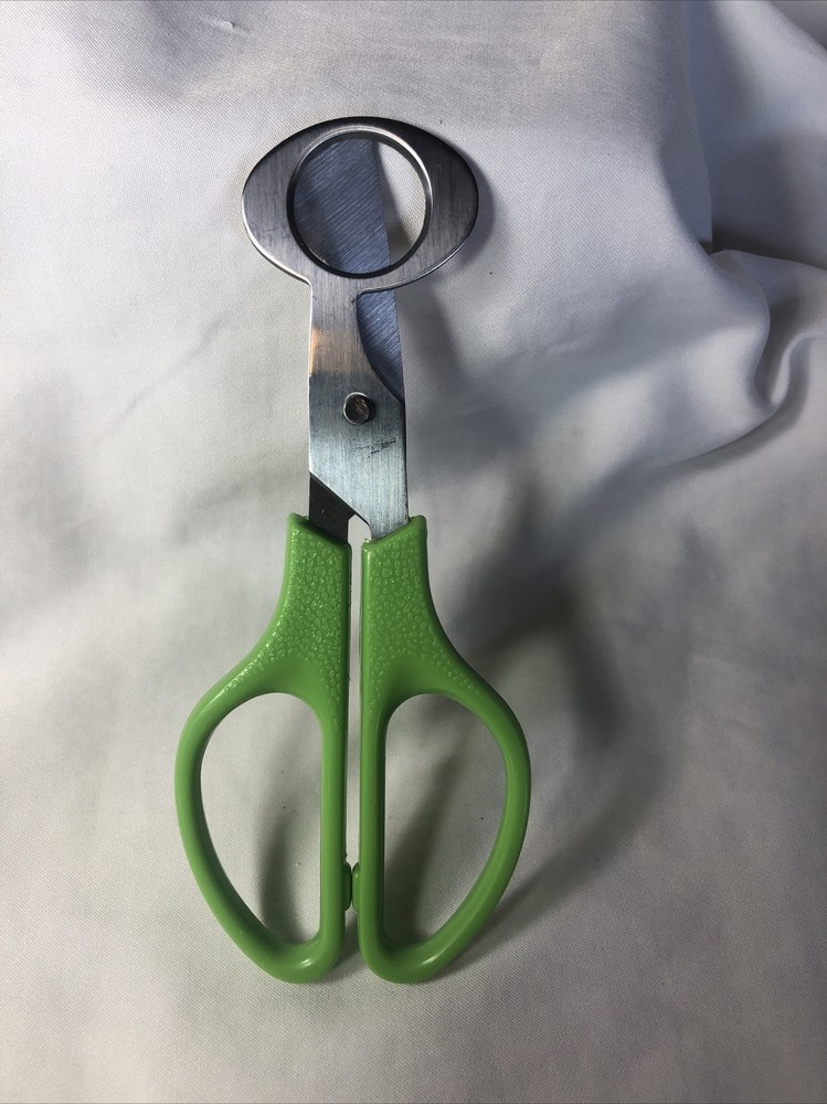 Quail Egg Scissors green  Stainless Steel