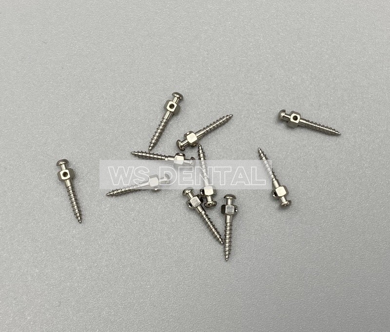 Dental Orthodontic Micro Implants Mini Screw Self-Drilling Titanium Screws