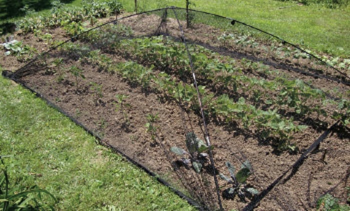 Atlantic Watergardens Pond & Garden Protector with Frame and Net 9' x 12'
