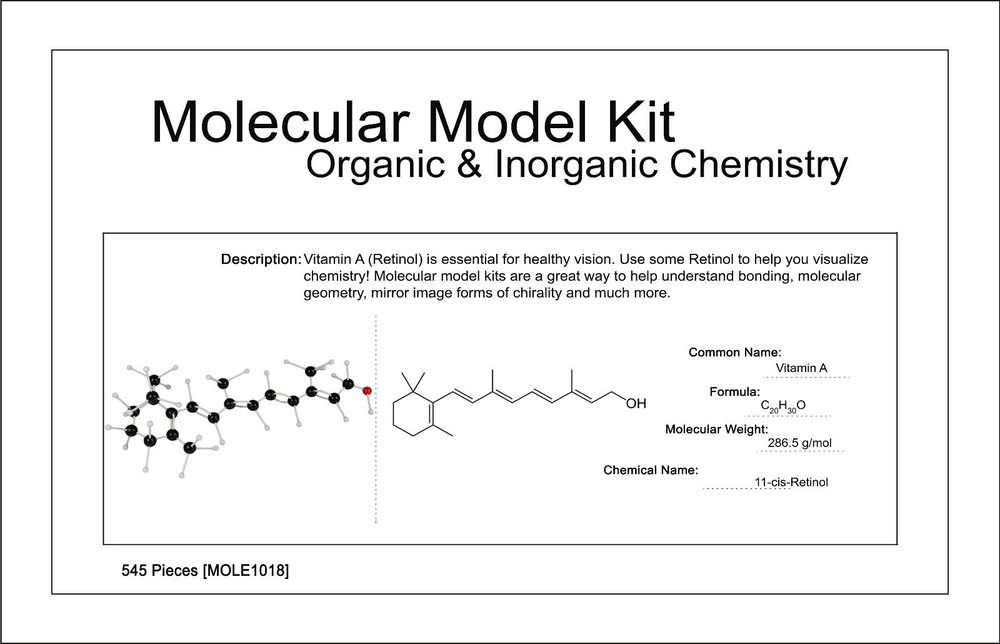 Large 545 Pieces Structural Molecular Model Kit