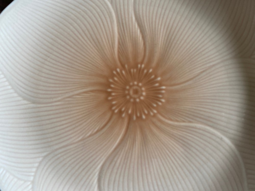 4 Mikasa Spring Amaryllis Salad Plates 9”
