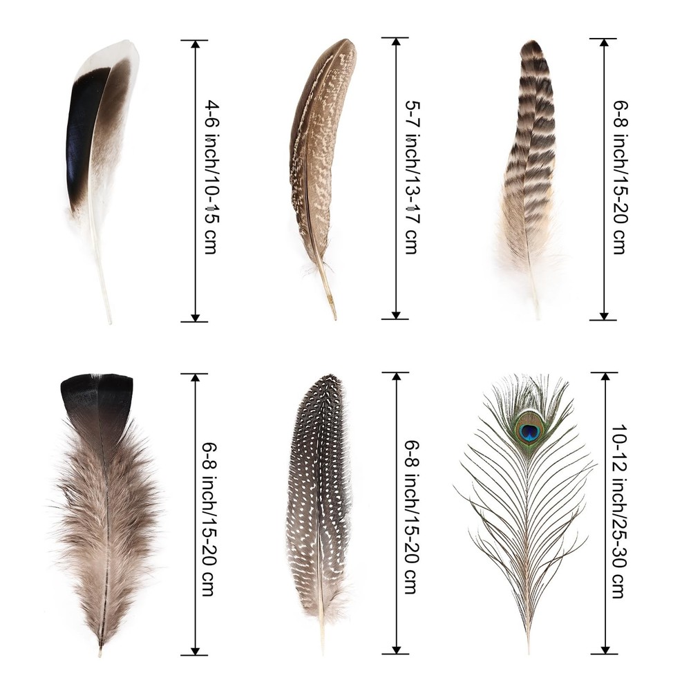 Natural Feathers Bulk - 55PCS - 6 Styles Assorted Feathers, 6