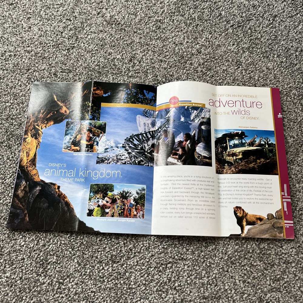 Disney World Florida Guide to Everything Maps 2006