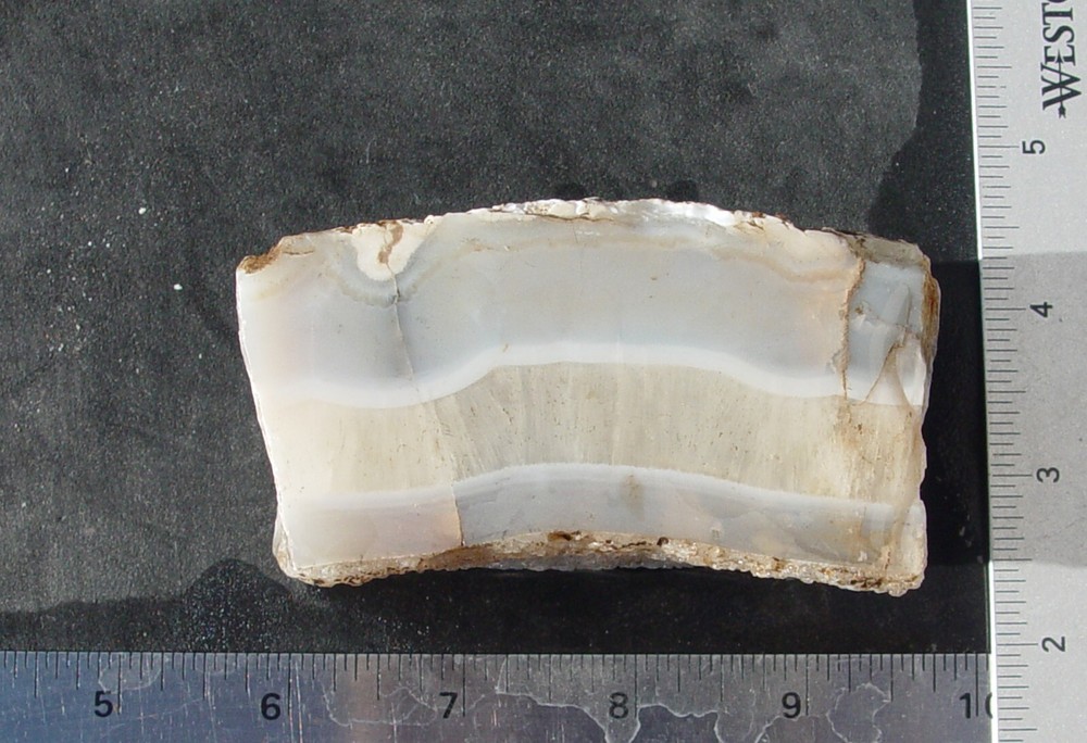 White Seam Agate   Small Lapidary Rough                               T1043