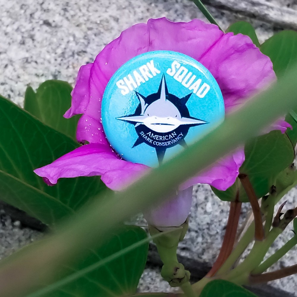 Shark Squad Button