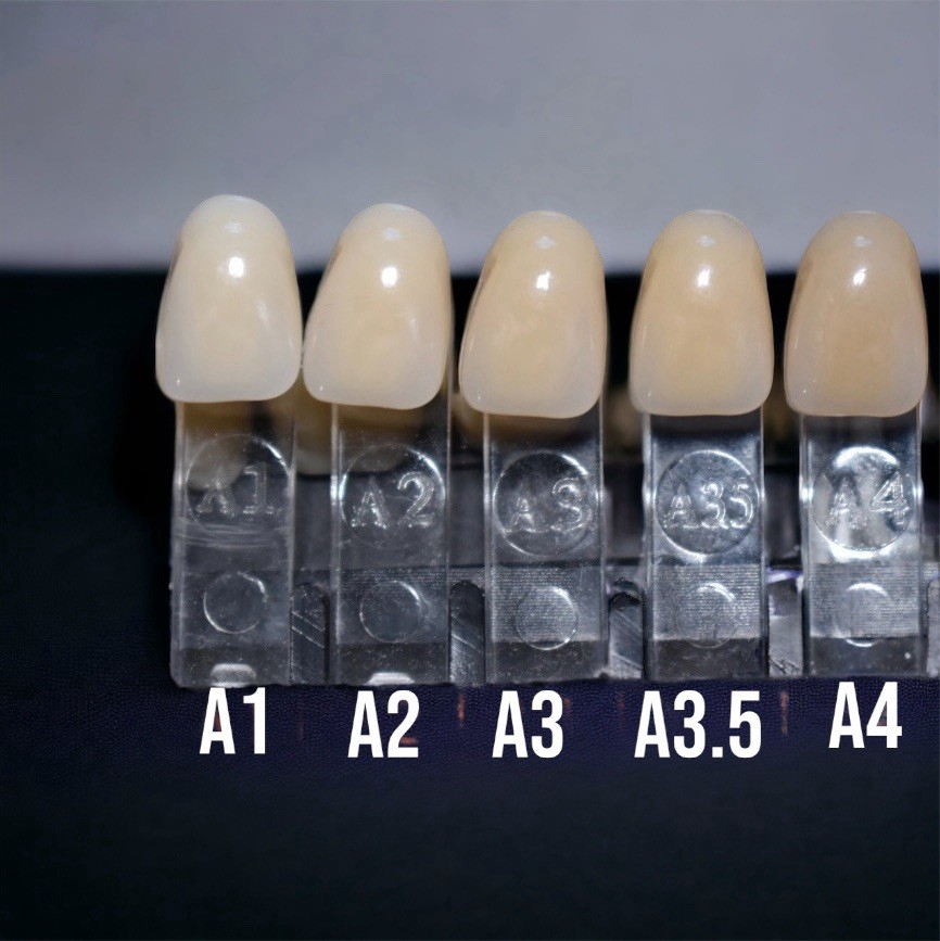 Acrylic False Teeth Only | DIY Denture Making Repair Upper Lower No Base