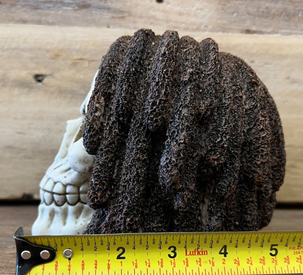 Skull With Dreadlocks Statue 5" x 5.5"