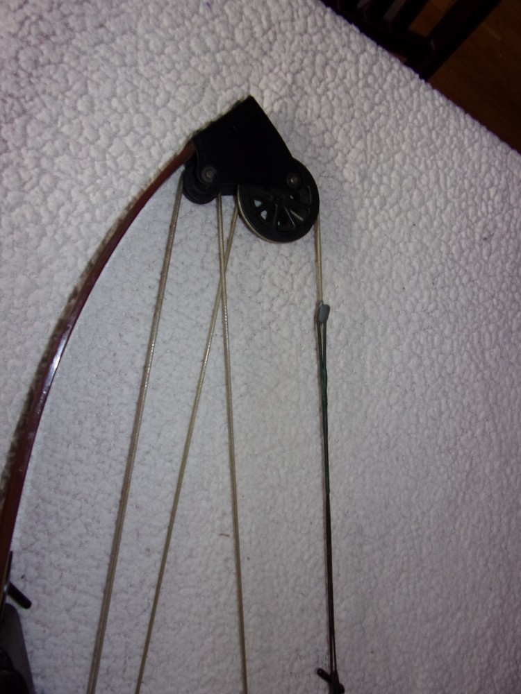 Vintage Bear Archery Whitetail Hunter Compound Bow NICE