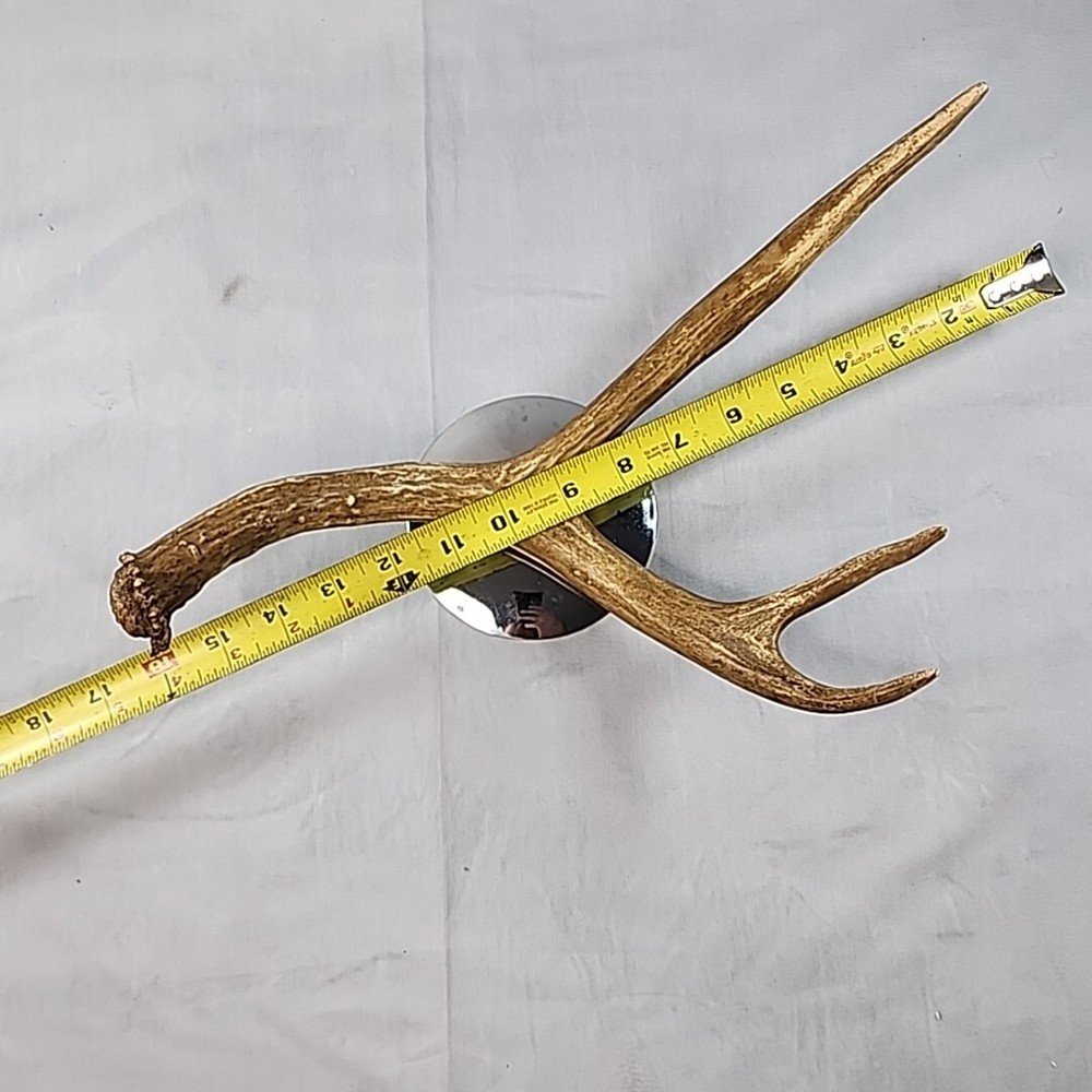 Deer Antler Single 3 Point on stand