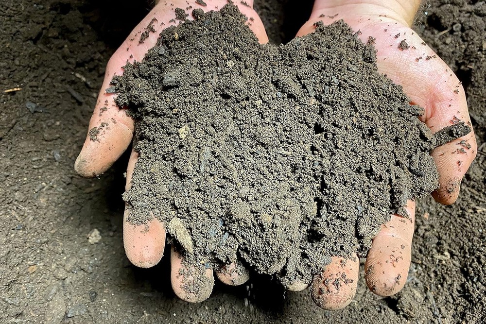 Organic Compost 1 Gallon