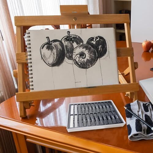 24 Pcs Compressed Charcoal Sticks with Soft Medium Hard and White Charcoal - ...