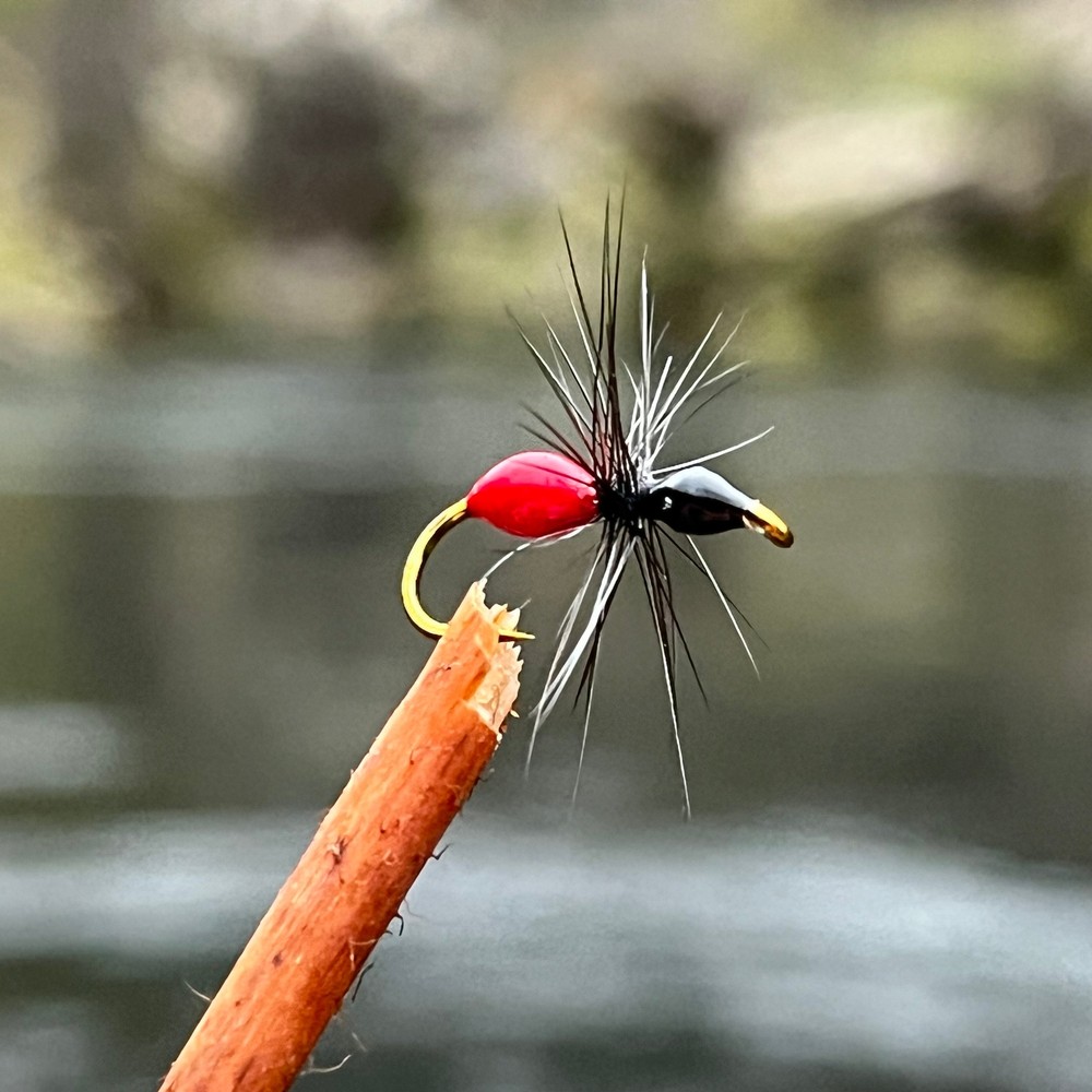 Black Flying Ant | Size #12