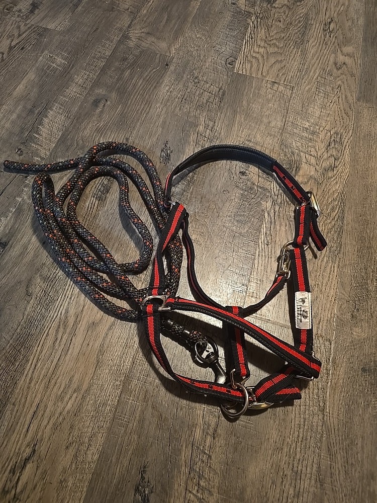 Horse Halter And Lead