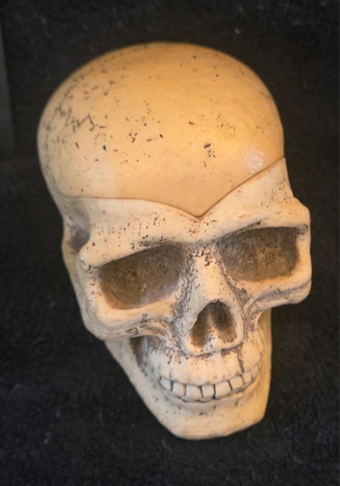 SKULL INCENSE BURNER HOLDER,OR STASH BOX FIGURINE