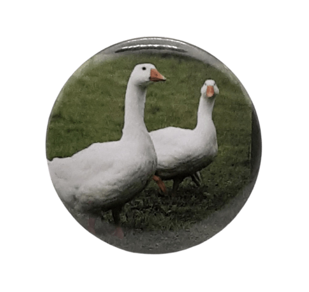 Geese[ 2.25 inch White ]