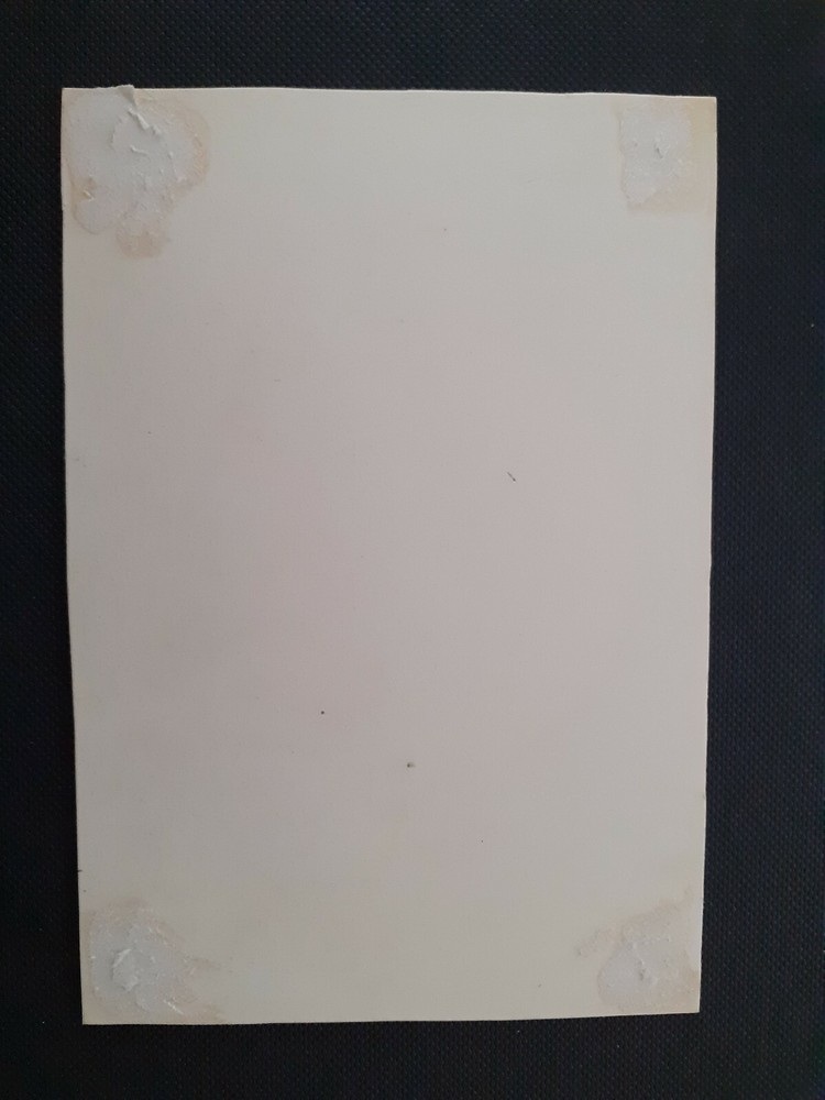 c1830s Romantic Castle overlooking lake