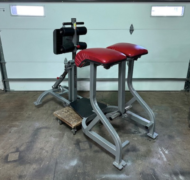 Promaxima | Plate Loaded FrankenHyper (GHD & Reverse Hyper Combo)