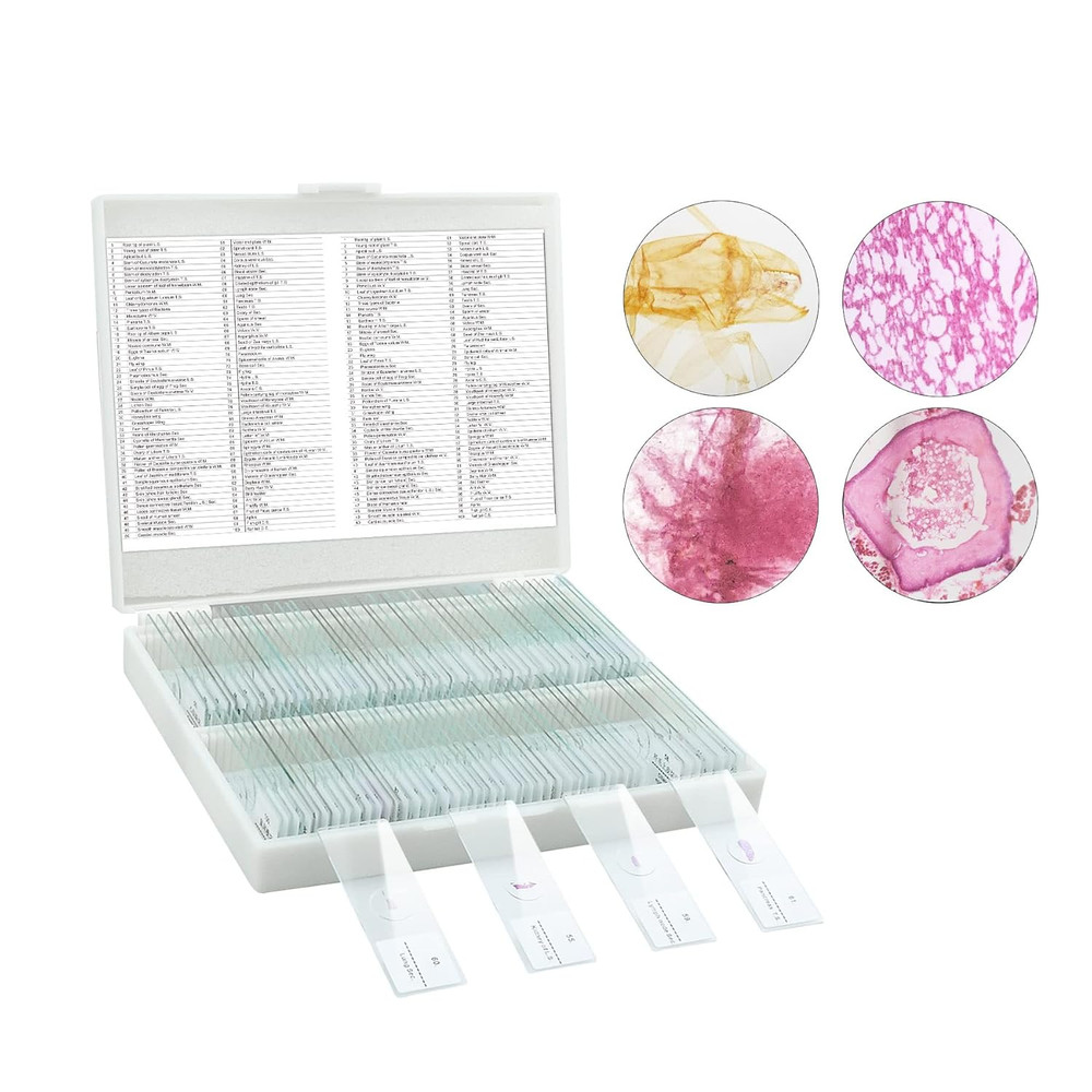 Microscope Slides, 100 Pcs Prepared Microscope Slides with Specimens for Kids Ho