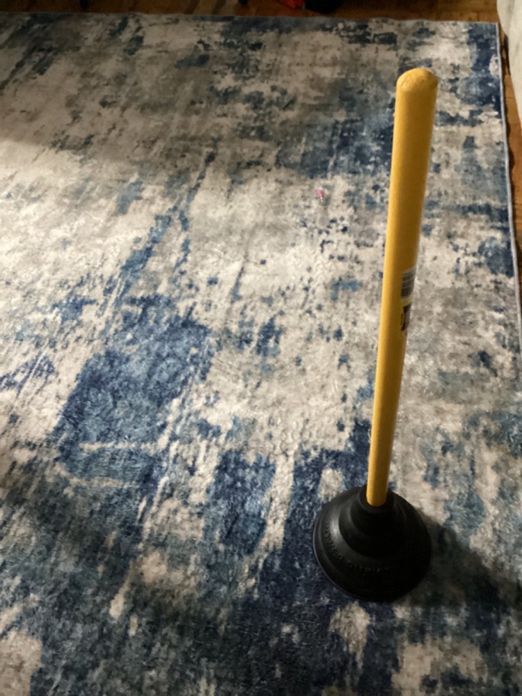 harveys power plunger