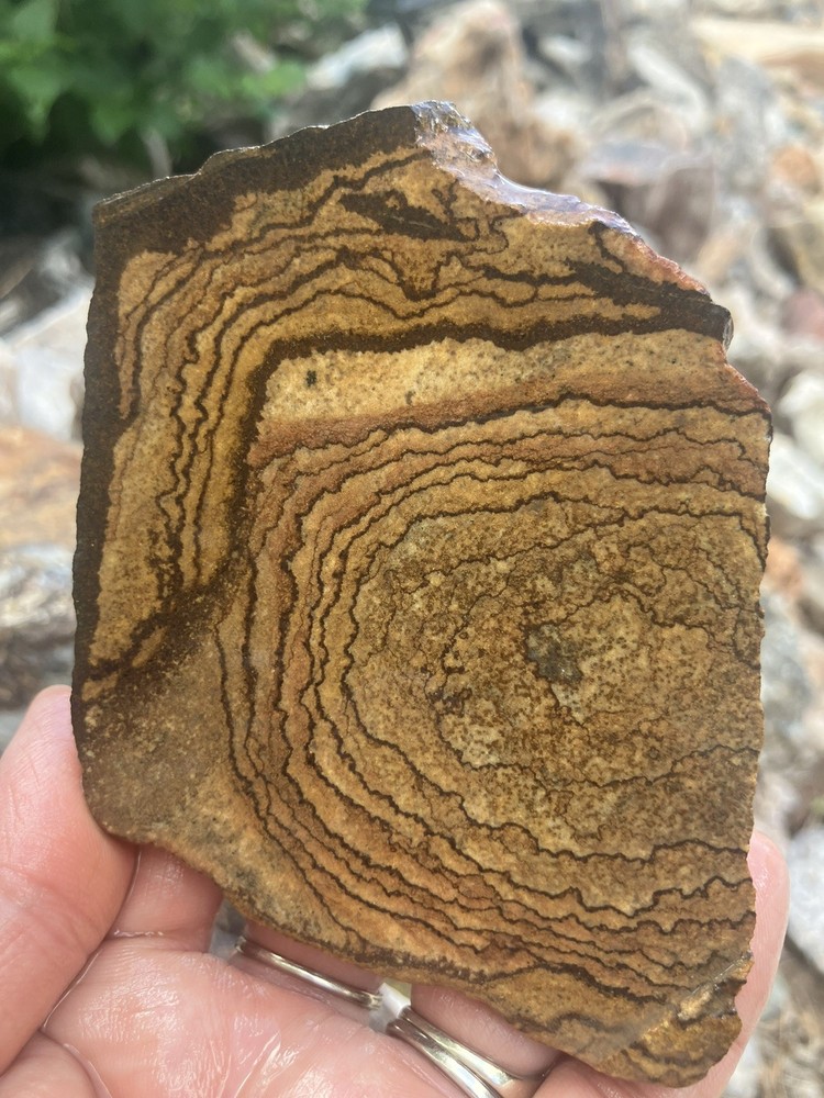 Deschutes Jasper Slab