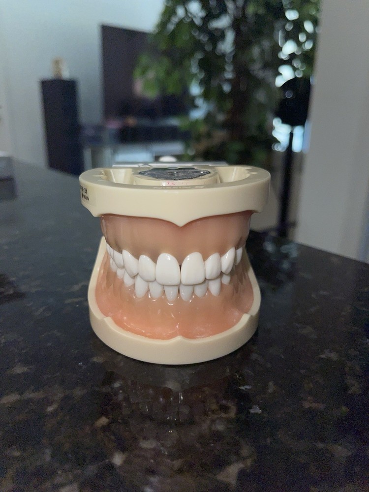 TWO New Nissin Dental Models