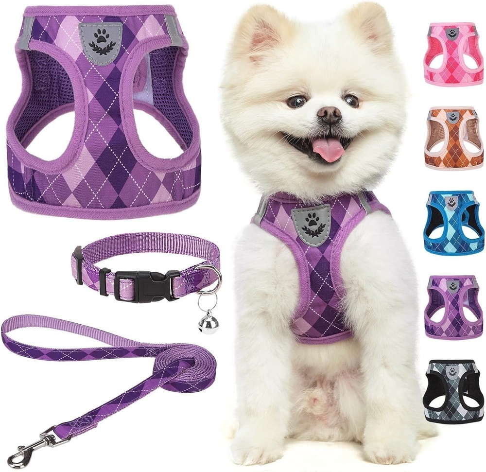 Small Dog Harness & Leash Collar Set Step in No Pull Soft Mesh Dog Harnesses