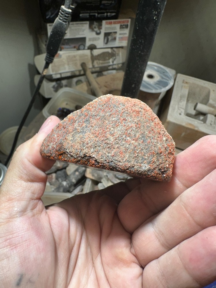 Dinosaur bone rough **hxtled end cut.