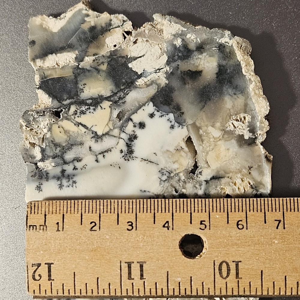 Dendritic Agate Lapidary Slab 78 Grams