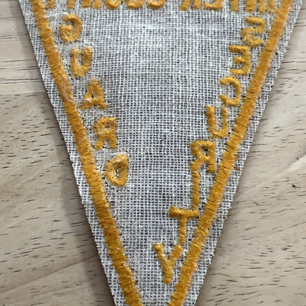 VTG Rare Inter-county Fla Security Guard Patch New