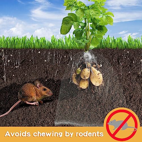10 Pack 15 Gallon Root Guard Gopher Proof Wire Mesh Basket for Underground
