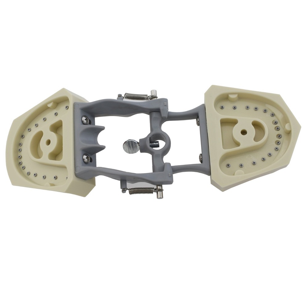 Columbia Dentoform 860 Dental Typodont Model 32pcs Removable Teeth Mounting Pole