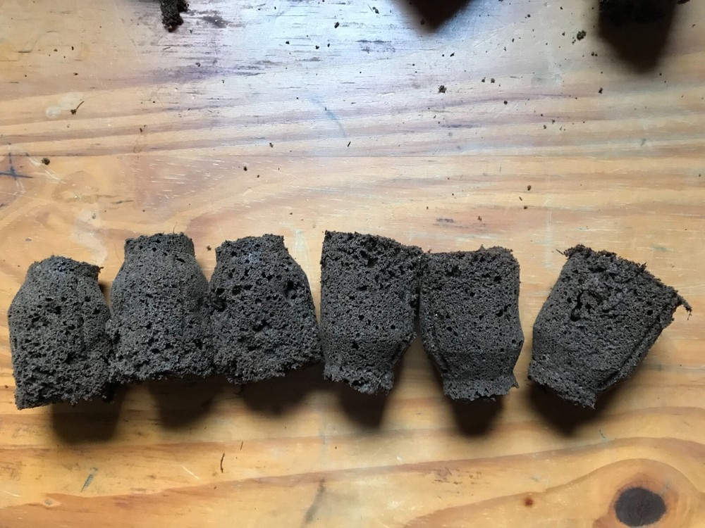 *New* Hydroponic Plugs (case of 72)