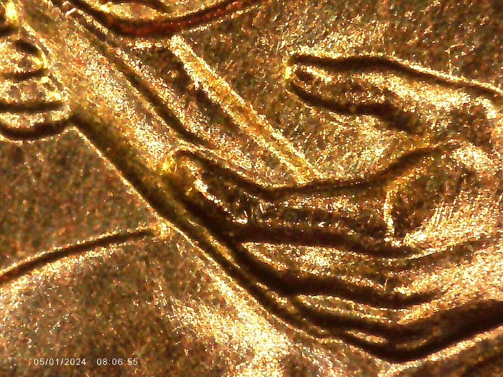 2009 P BU FY DOUBLED DIE REVERSE ERROR WDDR-008