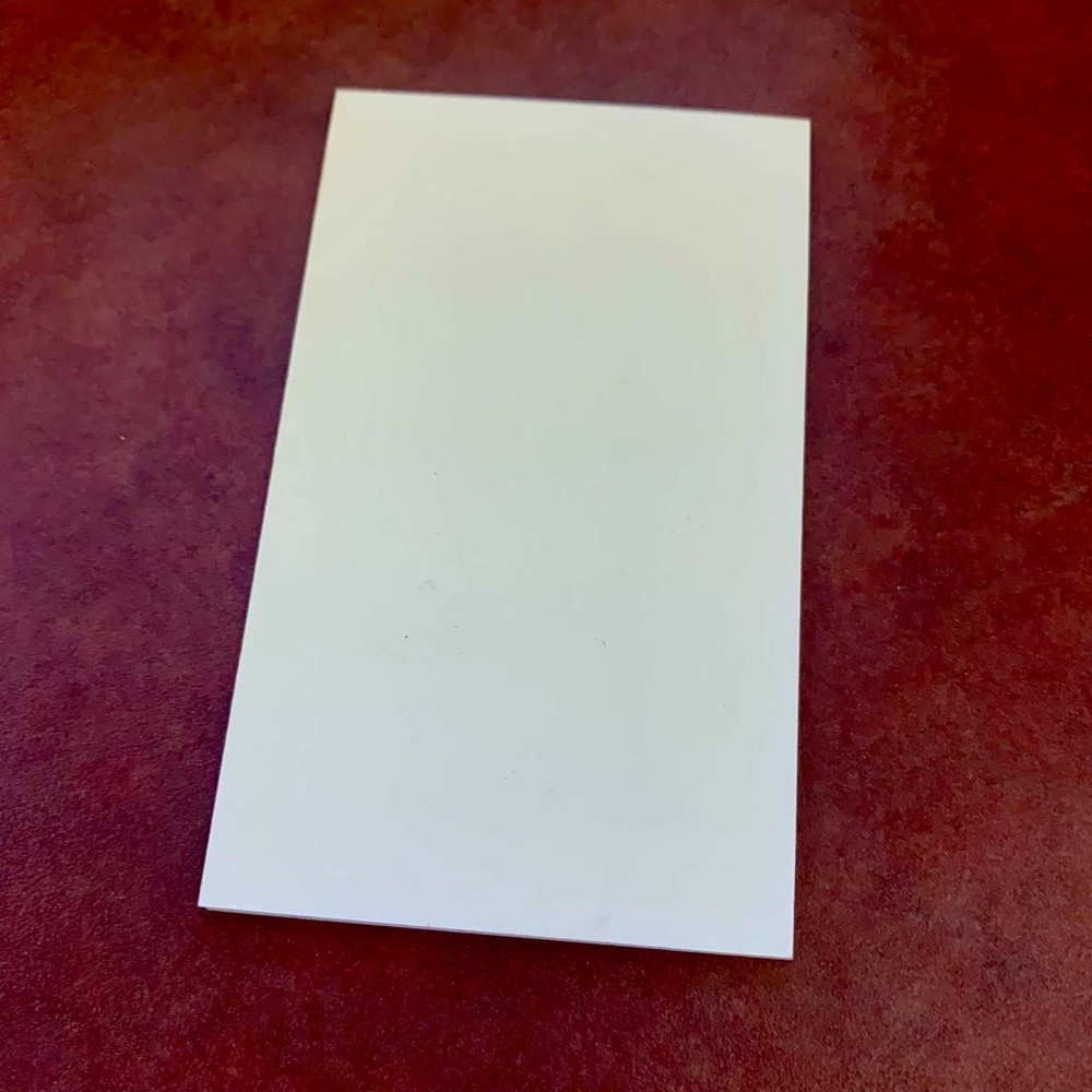 Sunny Day Window Sill Froggy Notepad