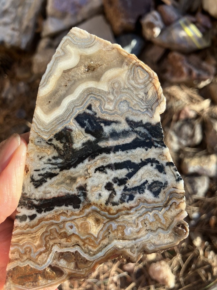 Crazy Lace Agate Slab