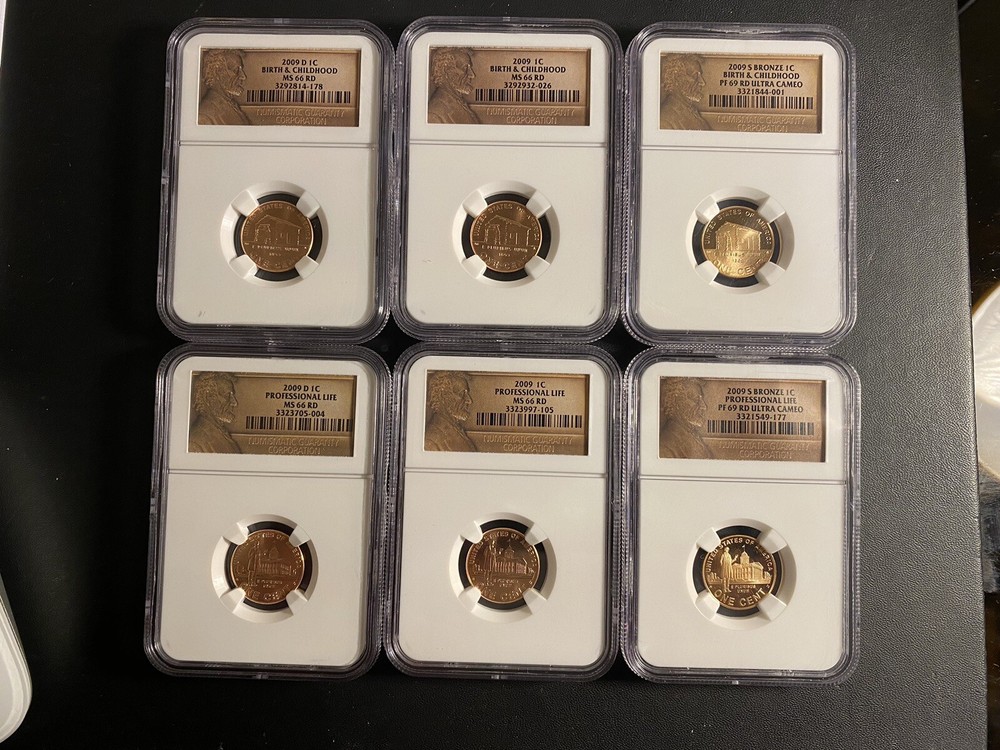 17 Lincoln Cent NGC Collection 2009-2010 Diff. Mint Marks/Different Grades/Type