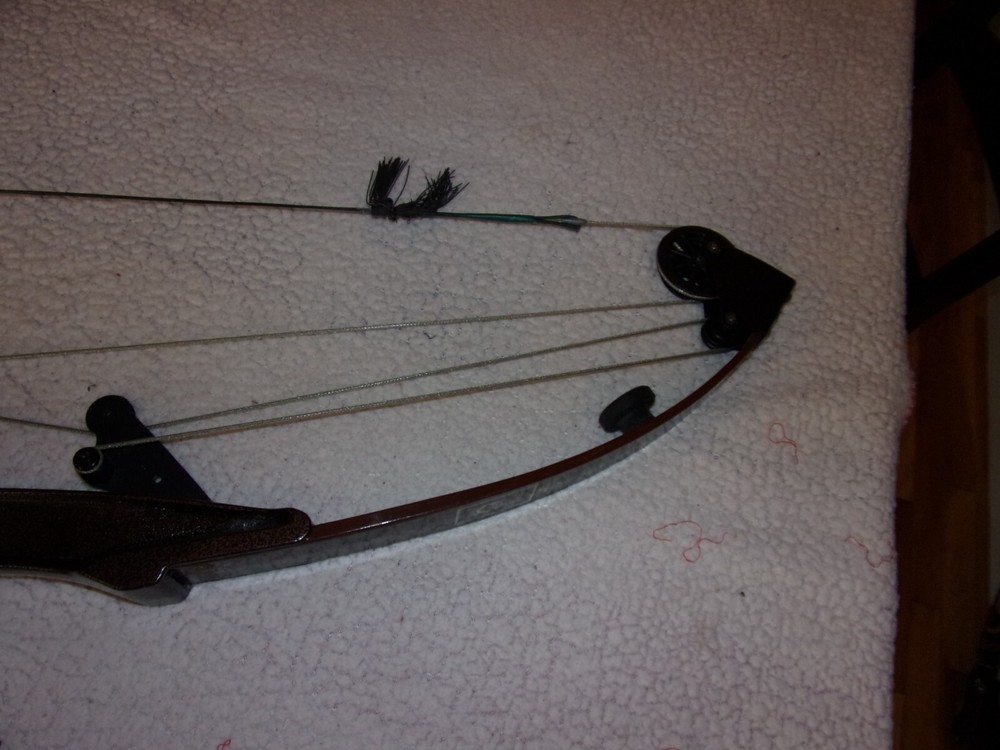 Bear Whitetail Hunter Right Hand Compound Bow