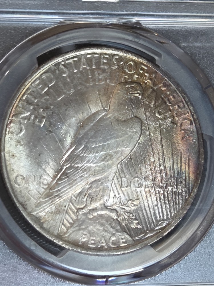 1924 $1 Peace Dollar PCGS MS64 Toned