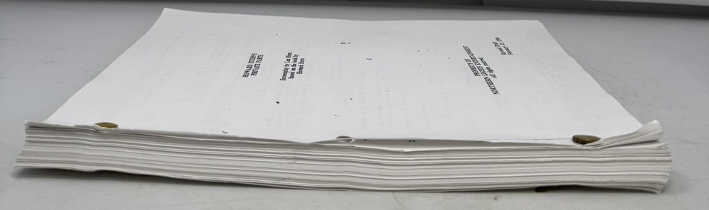HOWARD STERN’S PRIVATE PARTS SCREENPLAY SCRIPT VERY RARE!