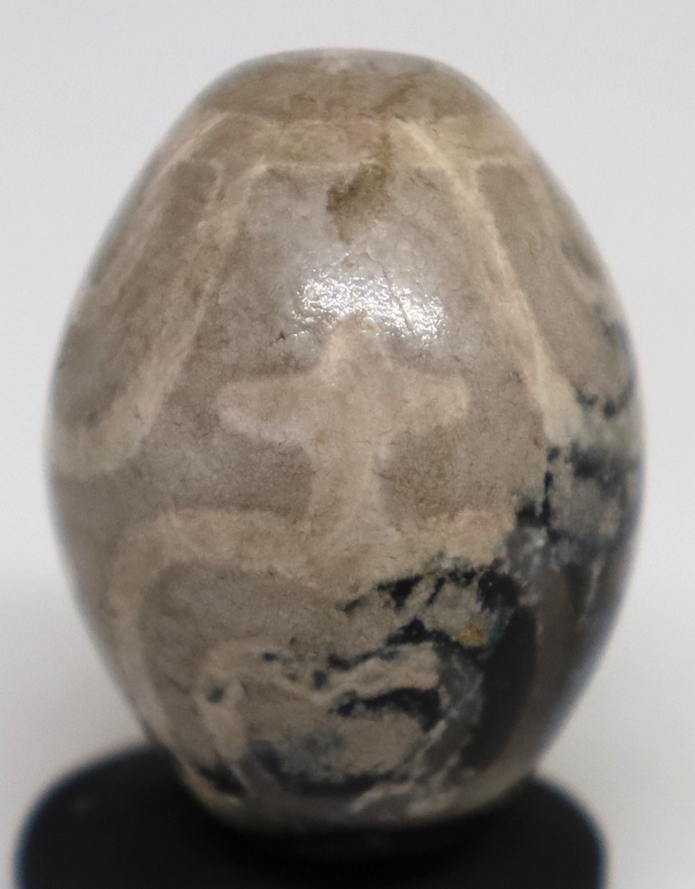 Himalayan Indo Agate DZI Old Genuine Ancient Longevity Patten Good Luck Bead