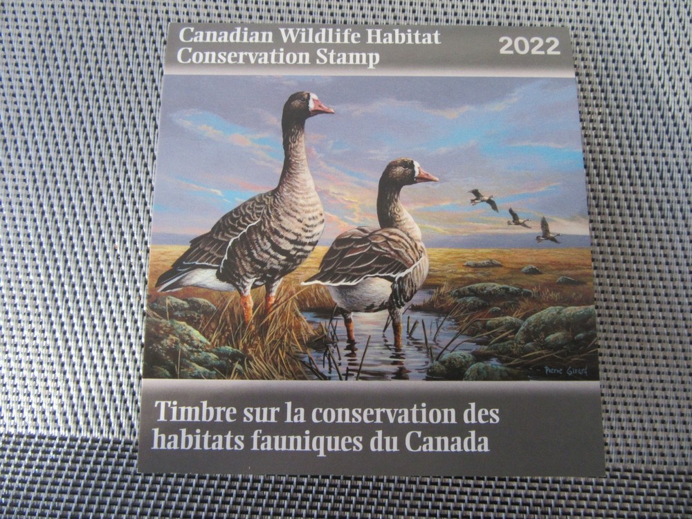 2022 Canada Wildlife Conservation White Fronted Goose BKT D38 MNH
