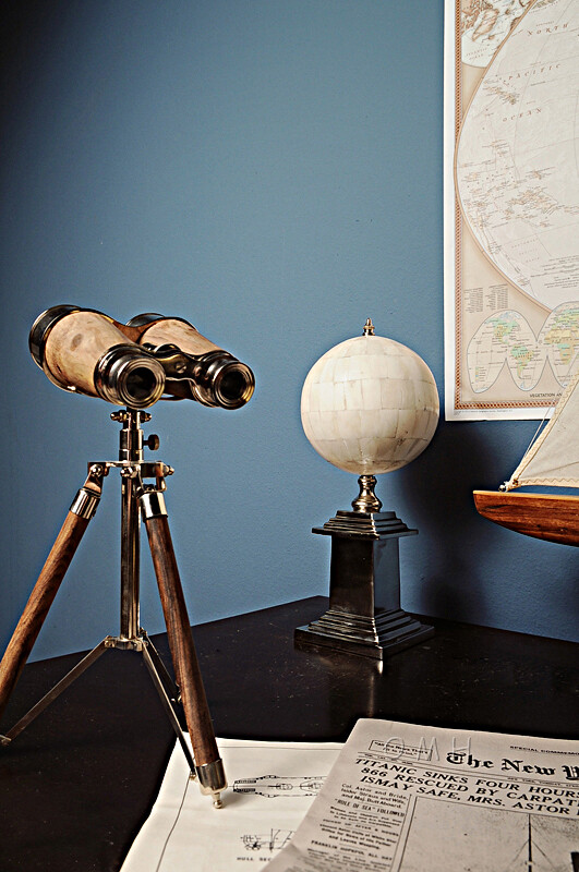 Bone Globe With Aluminum Base