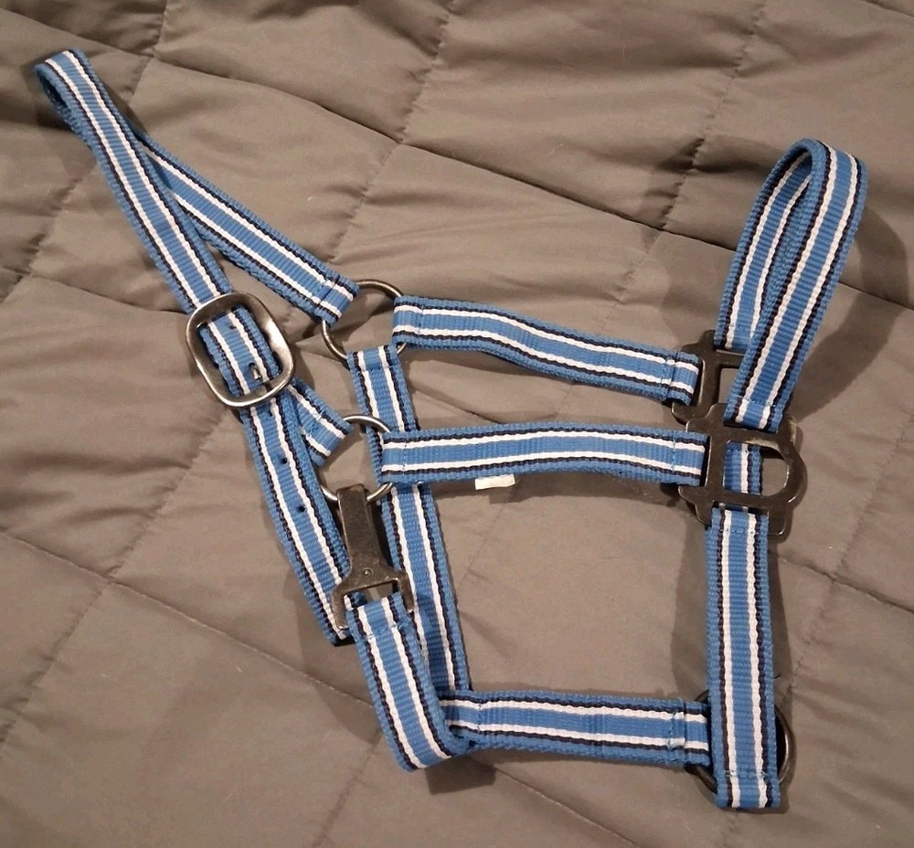 Horze, Nylon Halter, Blue & White Striped, Cob