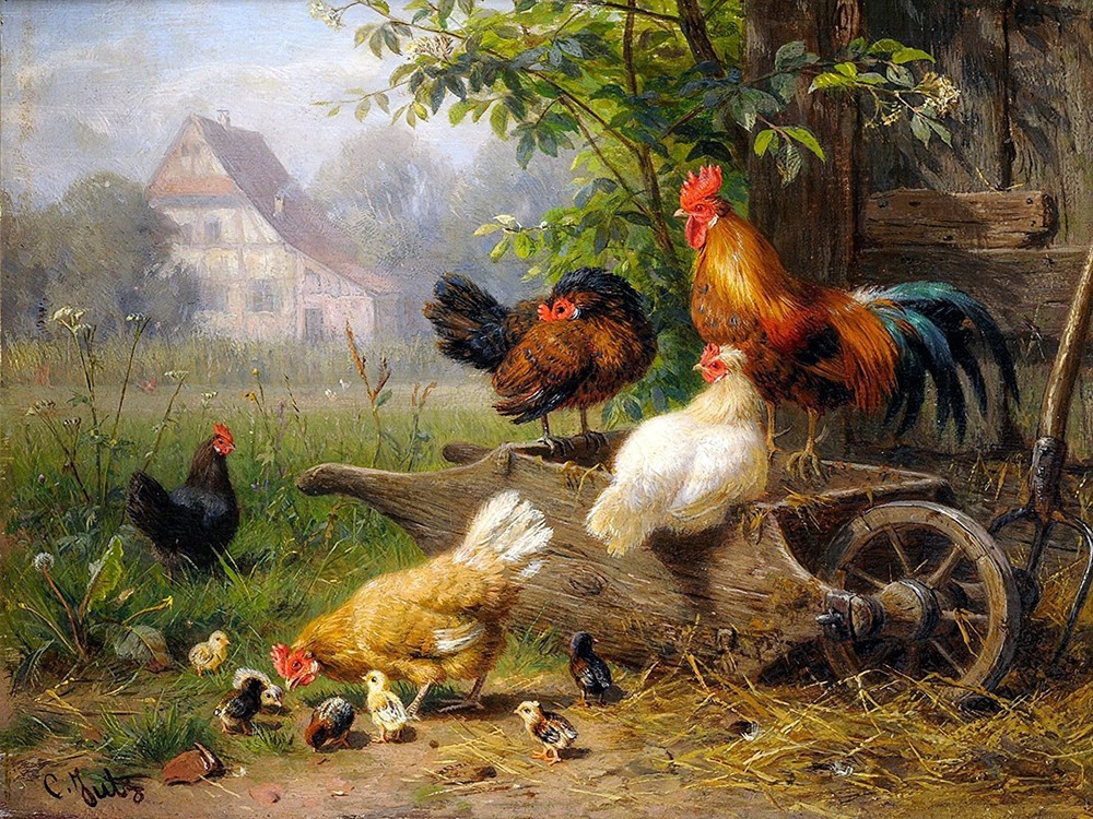 Farm rooster chickens by C. Jutz Tile Mural Kitchen Backsplash Marble Ceramic